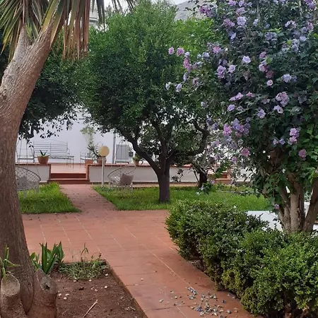 Casa Agrumeto - Locazione Turistica * Mondello