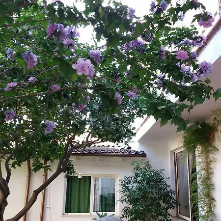 Casa Agrumeto - Locazione Turistica Mondello