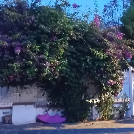 Casa Agrumeto - Locazione Turistica