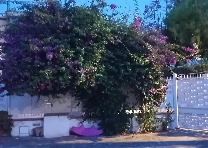 Casa Agrumeto - Locazione Turistica